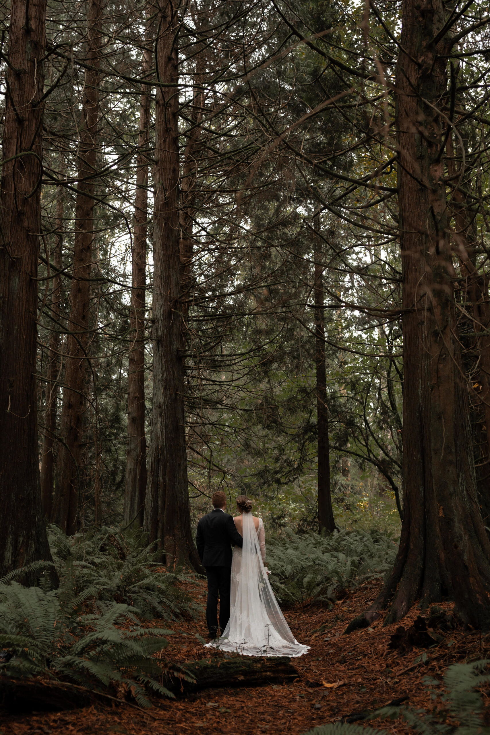 Olympic Peninsula Wedding. Between the Pine. Washington Wedding Photographer Seattle, WA 