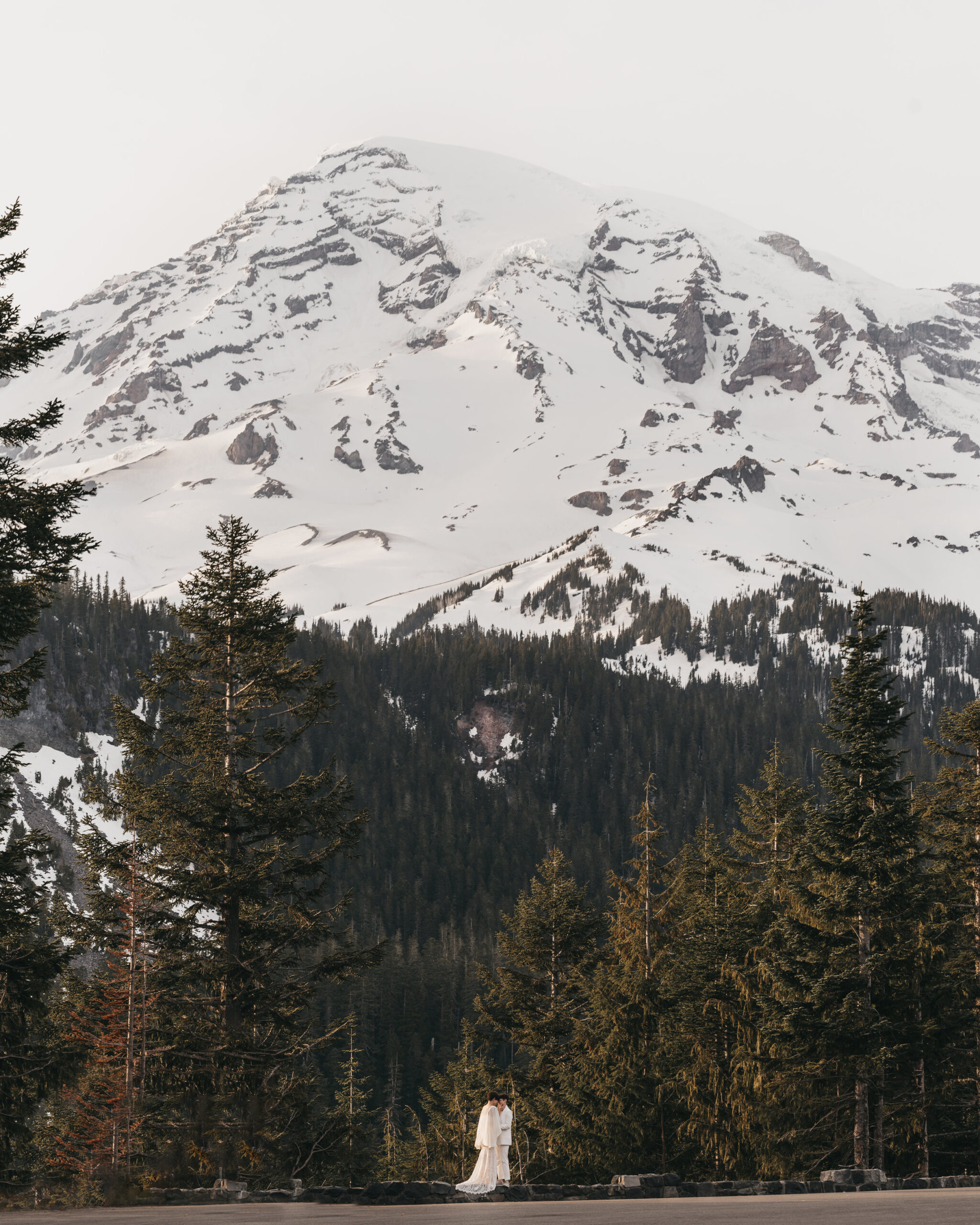 Mt Rainier National Park Elopement: Forest Floors to Mountaintops