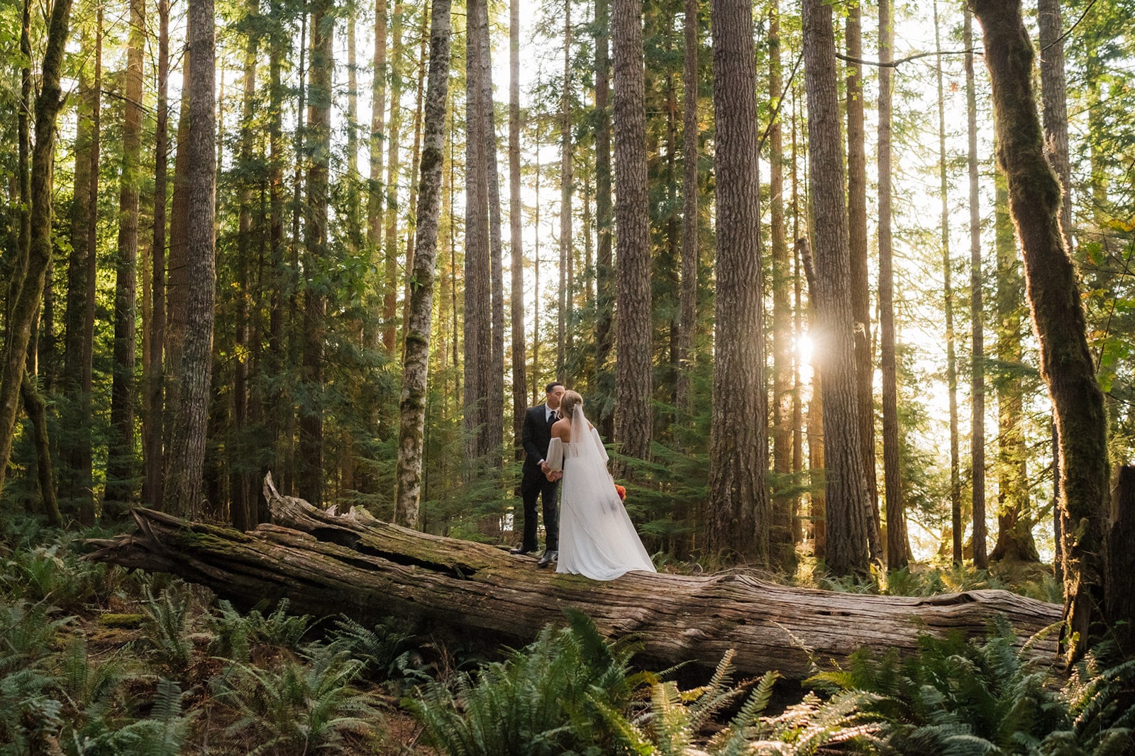 Bride and groom kiss on a fallen log in the forest while the sun streams through the trees. 