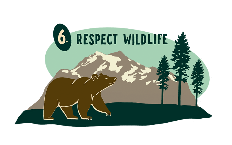 Leave No Trace Elopement Principle #6 - Respect Wildlife