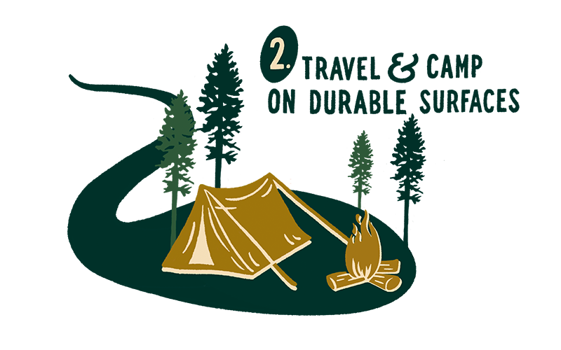 Leave No Trace Elopement Principle #2 - Travel & Camp on Durable Surfaces