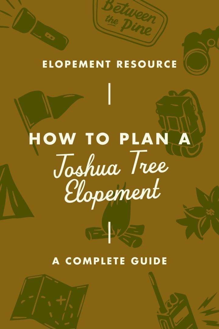 How to Plan a Joshua Tree Elopement