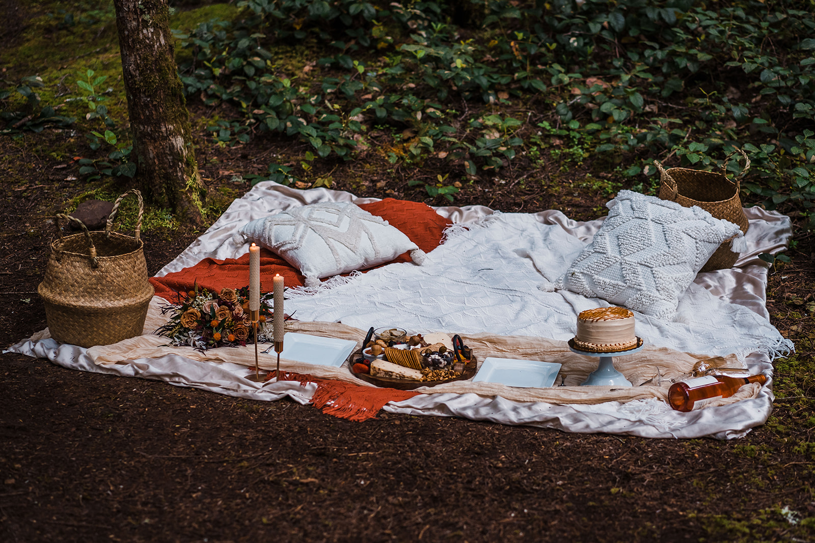 Forest Elopement in the Pacific Northwest - Between the Pine