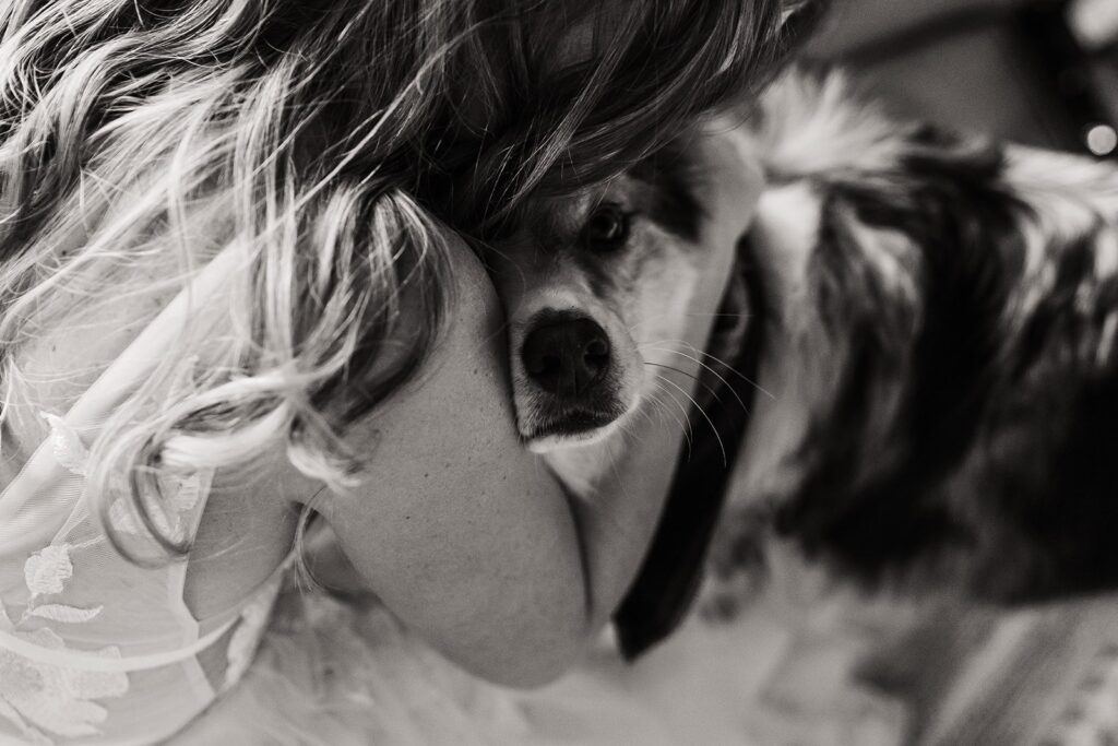 Bride snuggling her dog after getting ready for her Washington elopement