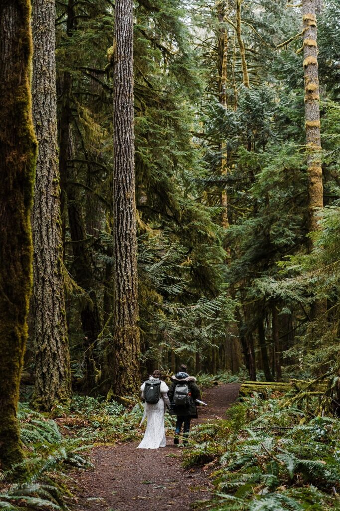 Bride and groom hiking through the forest in Olympic National Park for their spring elopement in Washington.