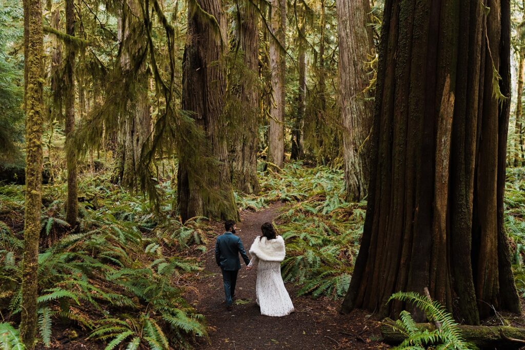 Bride and groom holding hands while walking through the forest at their spring elopement in Washington