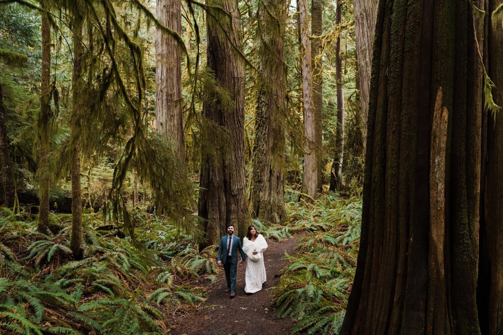 Bride and groom holding hands while walking through the forest at their spring elopement in Washington