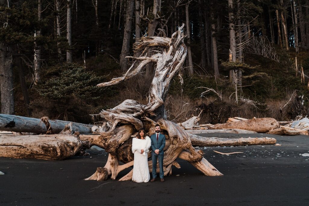 Bride and groom stand in front of a large pile of driftwood during their spring elopement on Rialto Beach
