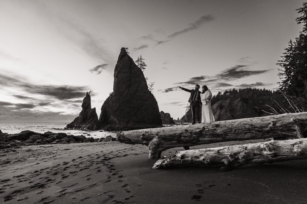 Bride and groom stand on a pile of driftwood on Rialto Beach for their sunset elopement photos