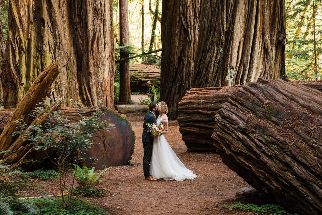 Bride and groom kiss on a forest trail during their Jedediah Smith Redwoods State Park elopement