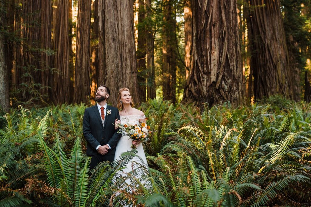 Bride and groom look up at the redwood trees while standing in the middle of a fern understory