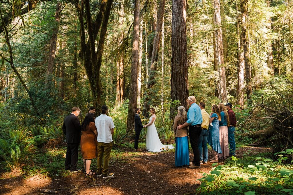 Bride and groom hold hands during their Redwoods elopement ceremony at Jedediah Smith Redwoods State Park