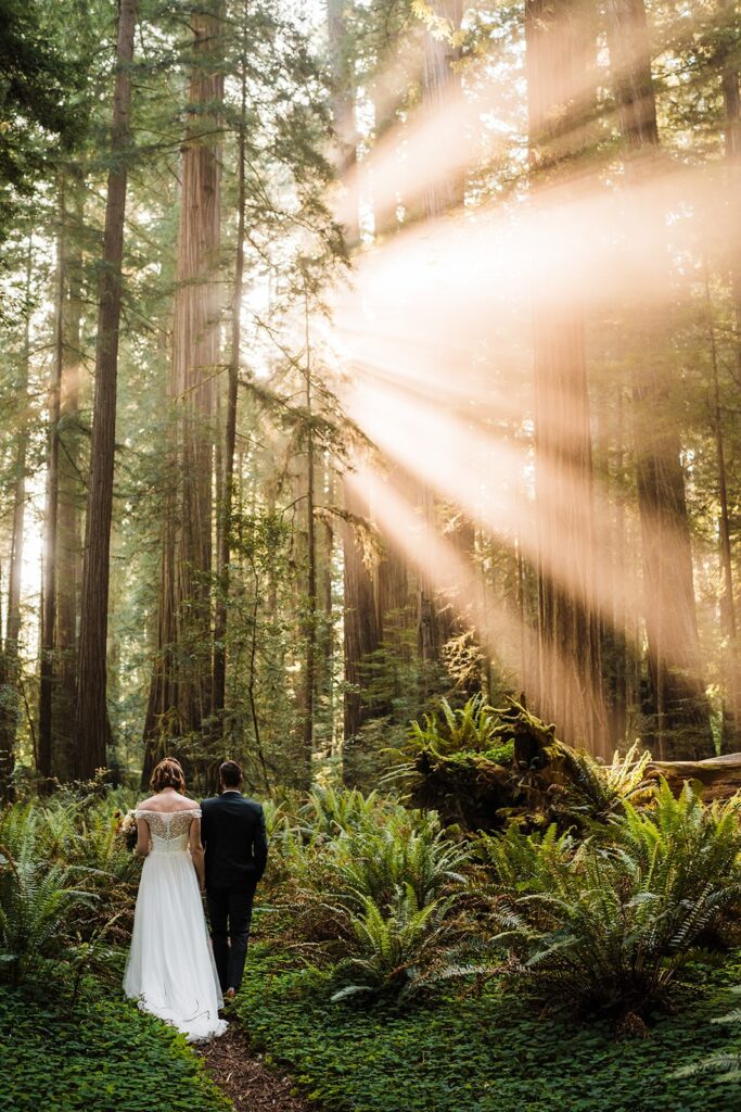 Bride and groom hold hands and sun rays filter through the trees at Jedediah Smith Redwoods State Park 