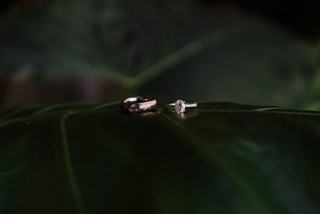 Bride and groom's rings resting on a leaf 