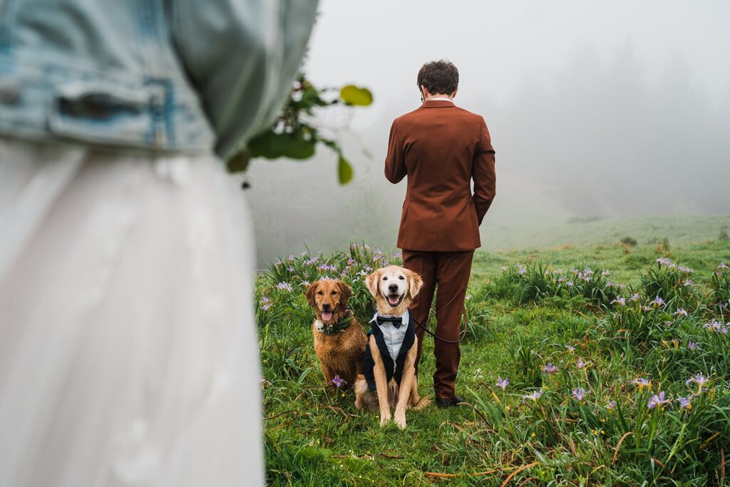 Groom stands with two golden retriever dogs wearing bowties during elopement first look on the Oregon Coast
