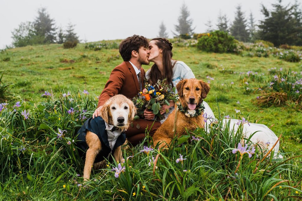 Bride and groom sit in the grass with their two golden retriever pups during their Crook Point elopement on the Oregon Coast