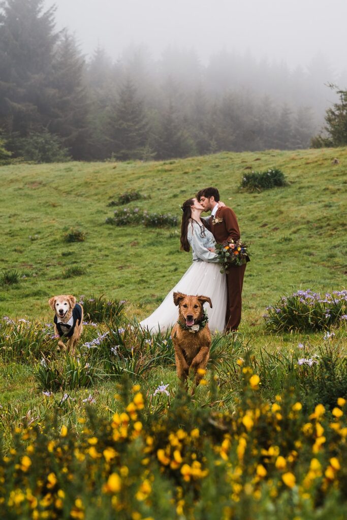 Bride and groom kiss during their sunrise elopement first look while their golden retriever dogs run through the wet grass