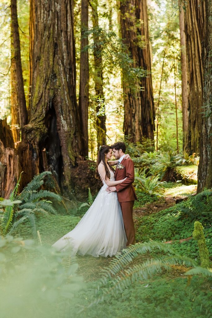 Bride and groom redwoods elopement photos on the Oregon Coast