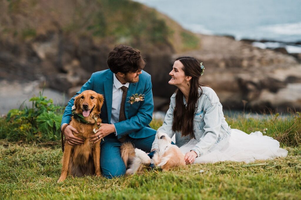 Bride and groom sit in the grass with their golden retriever dogs during their Crook Point elopement