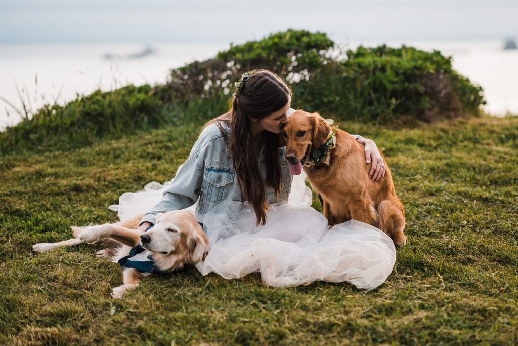 Bride kisses her golden retriever dog on the head during her Crook Point elopement