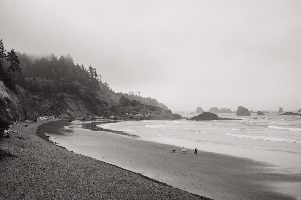 Bride and groom run across the beach with their dog during their Oregon Coast elopement