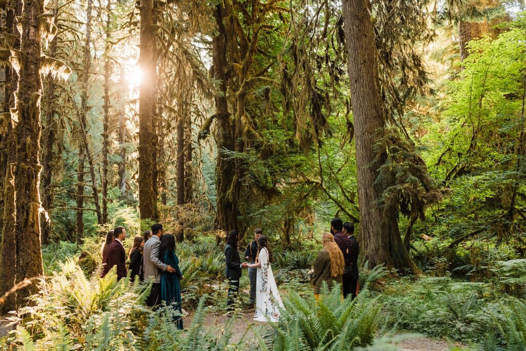 Bride and groom hold hands during their Hoh Rainforest wedding ceremony with guests