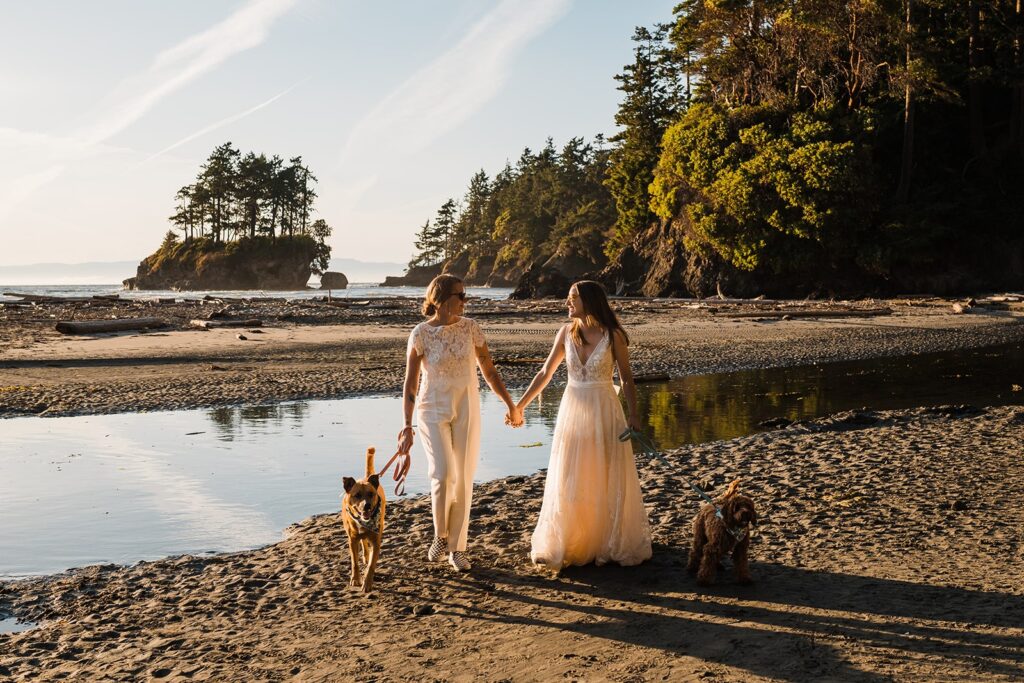 Bride hold hands while walking their dogs along the beach in Olympic National Park