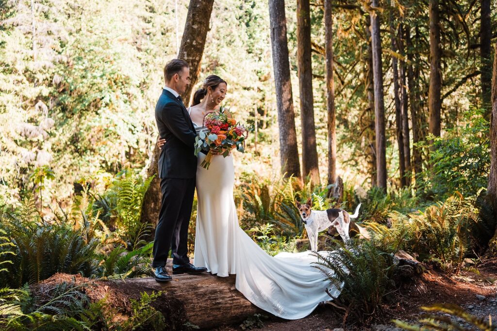 Dog stands on bride's wedding dress train during elopement photos in the forest in the North Cascades
