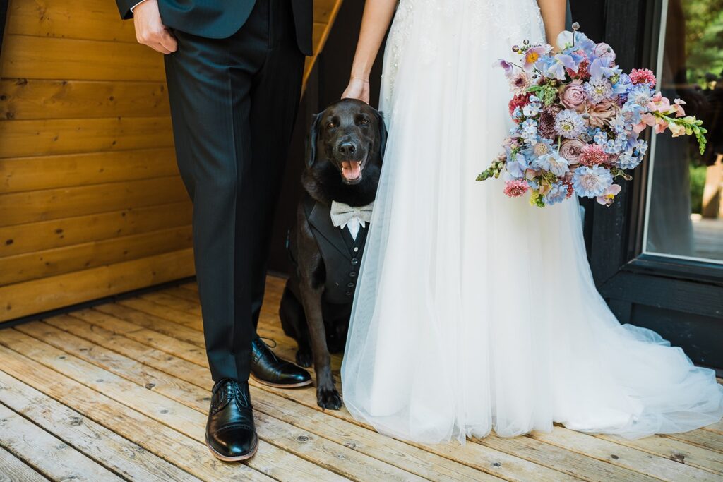 Bride and groom wedding photos with their black lab dog