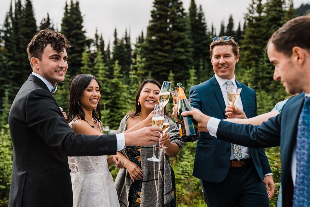 Bride and groom toast with guests at their picnic celebratory meal at Mount Rainier