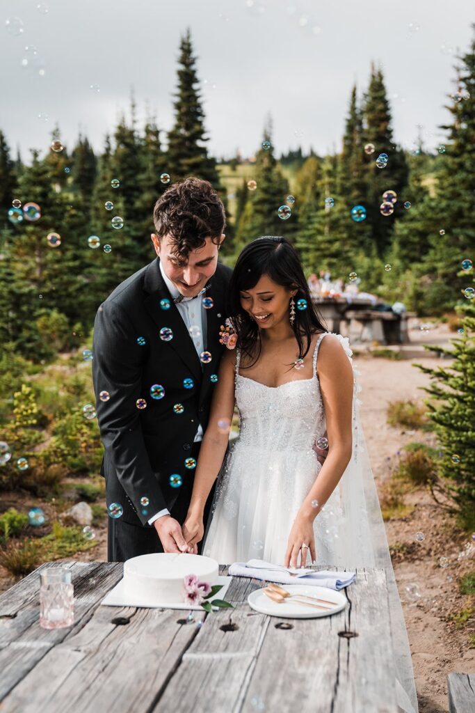 Bride and groom cut their wedding cake at their Mount Rainier wedding