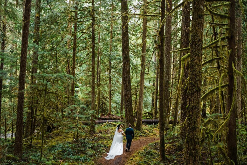 Bride and groom hold hands while walking through the forest at their North Cascades family elopement