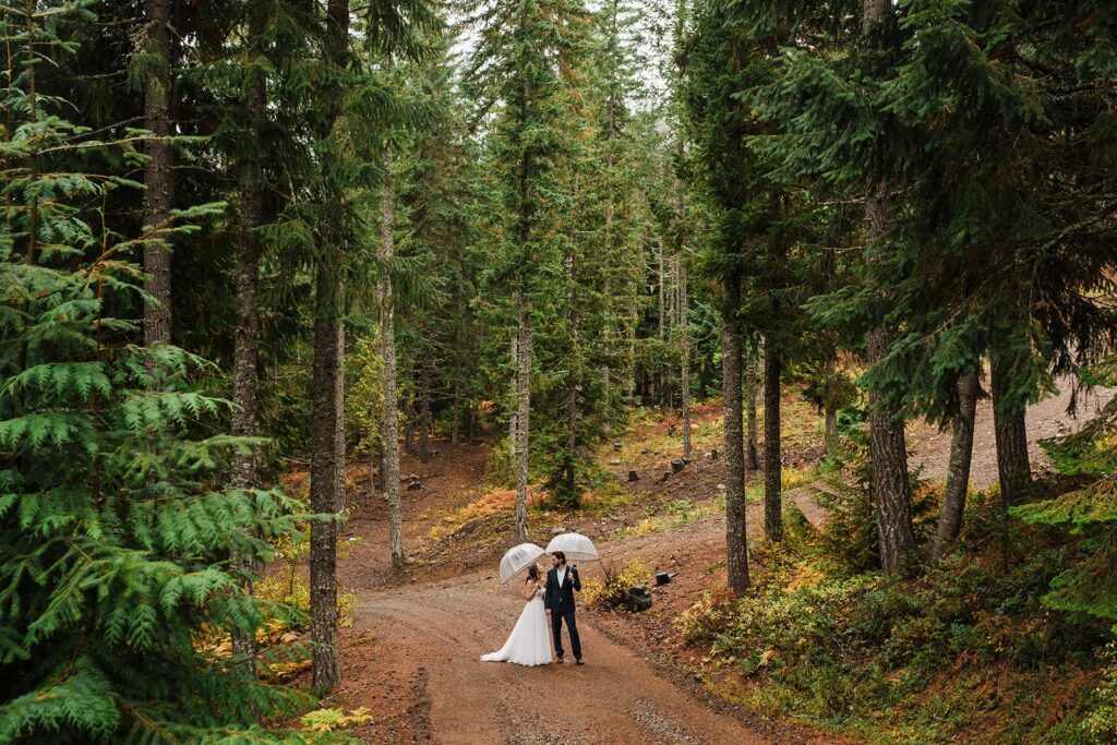 Bride and groom walk through the forest in Snoqualmie with clear umbrellas