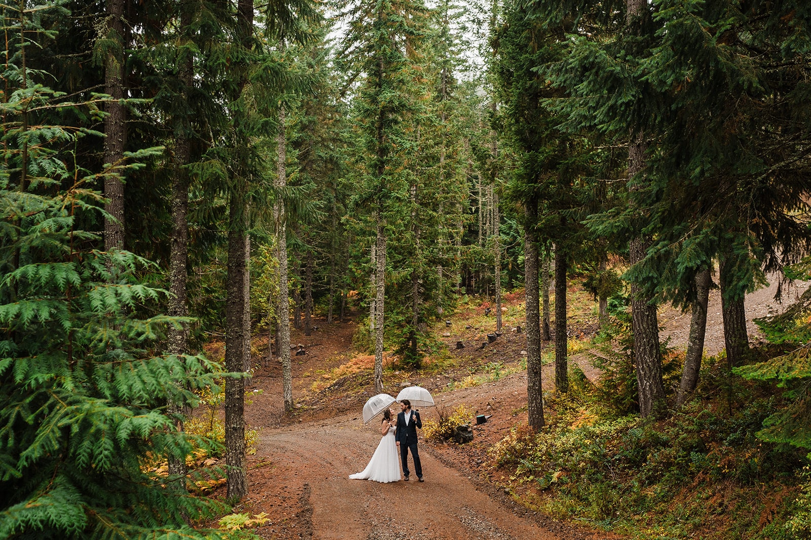 Bride and groom walk through the forest while holding clear umbrellas during their Washington state park wedding.