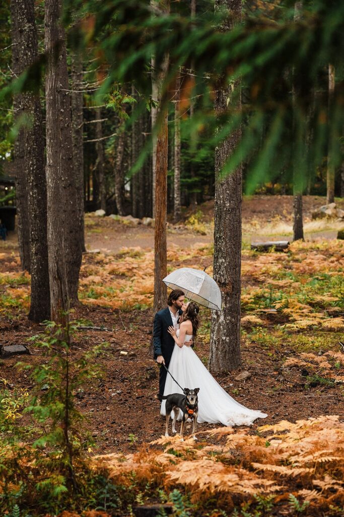 Bride and groom kiss under a clear umbrella during their forest elopement in Snoqualmie