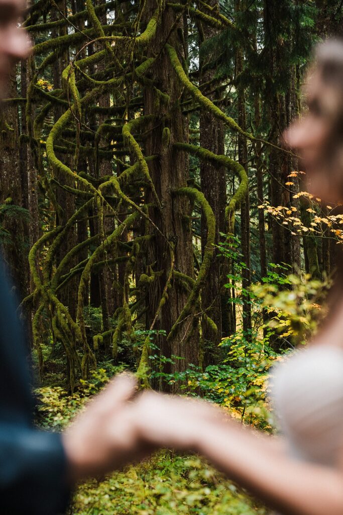 Bride and groom hold hands during their forest elopement in Snoqualmie 