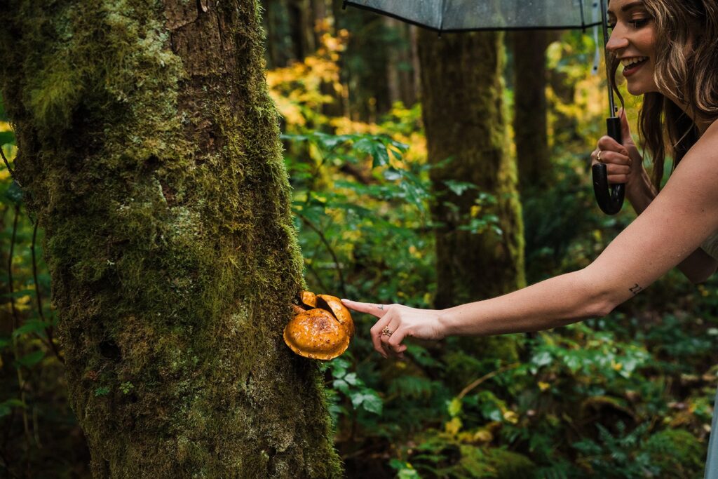 Bride touches a mushroom sprouting off a tree in Snoqualmie 
