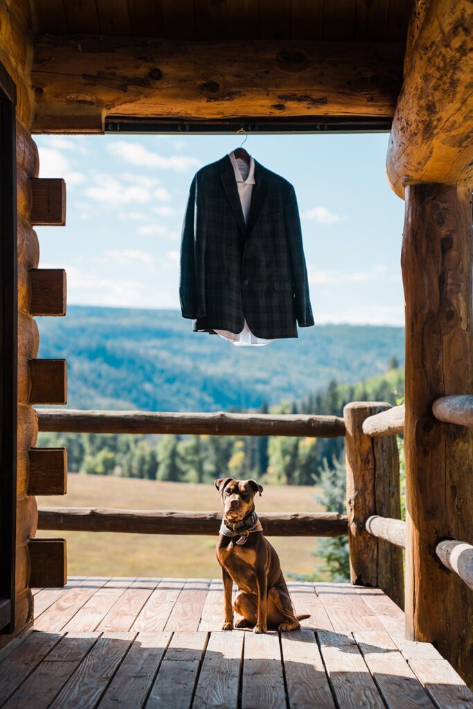 Black checkered suit hanging from a wood cabin rafter with a dog sitting underneath 