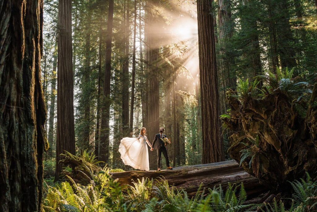 Bride and groom stand on a log as the sun streams in through the trees during their Redwood National Park wedding