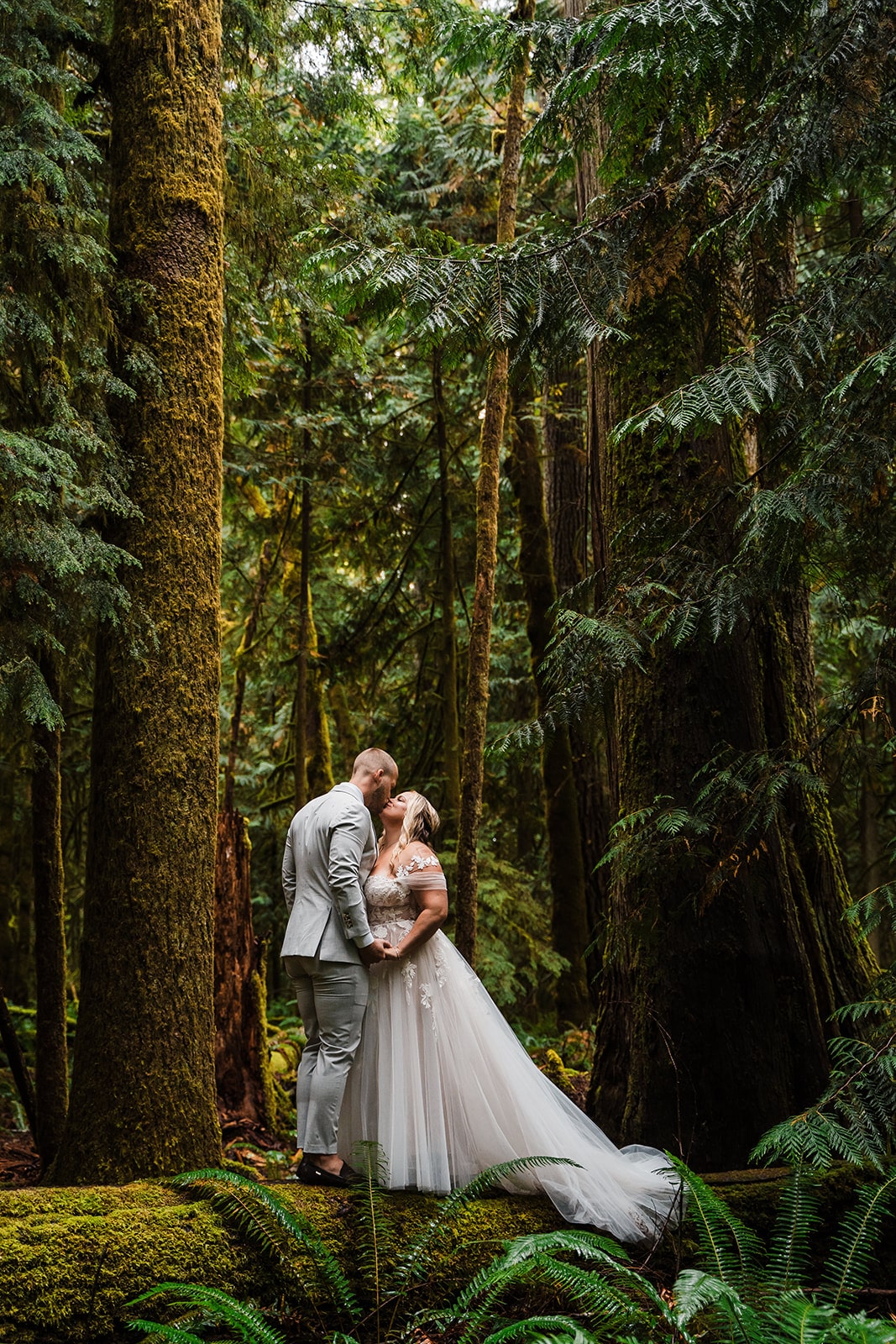 Best National Park Wedding Venues in the U.S. - Between the Pine