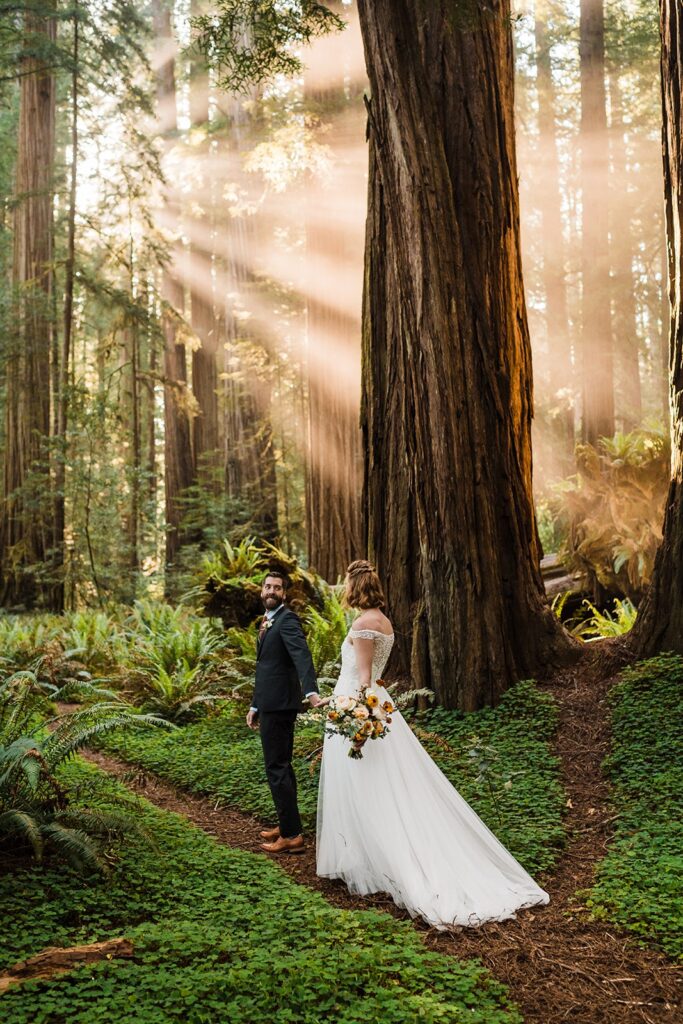 Bride and groom hold hands while sun peeks through the trees during their Redwood National Park elopement