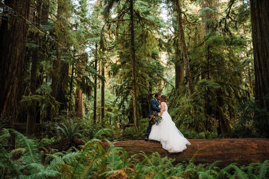 Bride and groom kiss on a log during their elopement in the redwoods