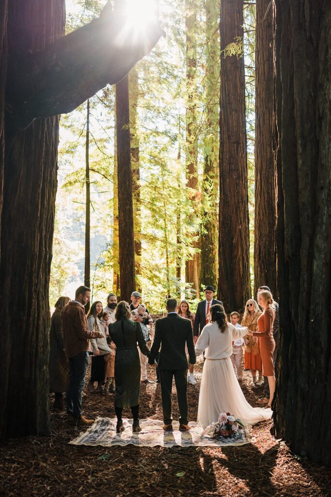 Bride and groom hold hands with their guest during their Redwood National Park elopement ceremony
