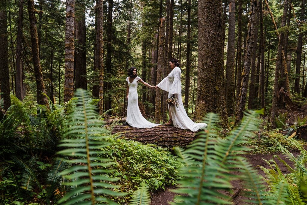 Brides hold hands while walking across a fallen log during their redwoods elopement in the forest
