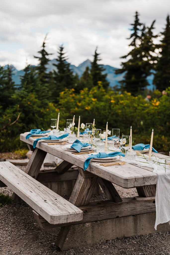 Picnic area wedding reception with white and blue table decorations