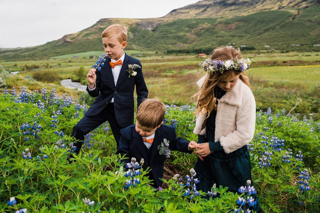 Children pick lupine wildflowers after an outdoor elopement ceremony in Iceland