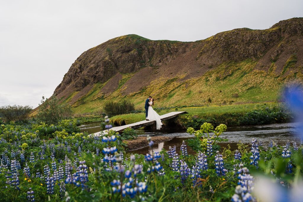 Bride and groom stand on a bridge surrounded by lupine flowers at their Iceland elopement