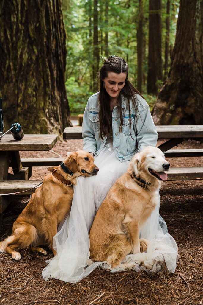 Bride sits on a picnic table in the woods while petting her two dogs