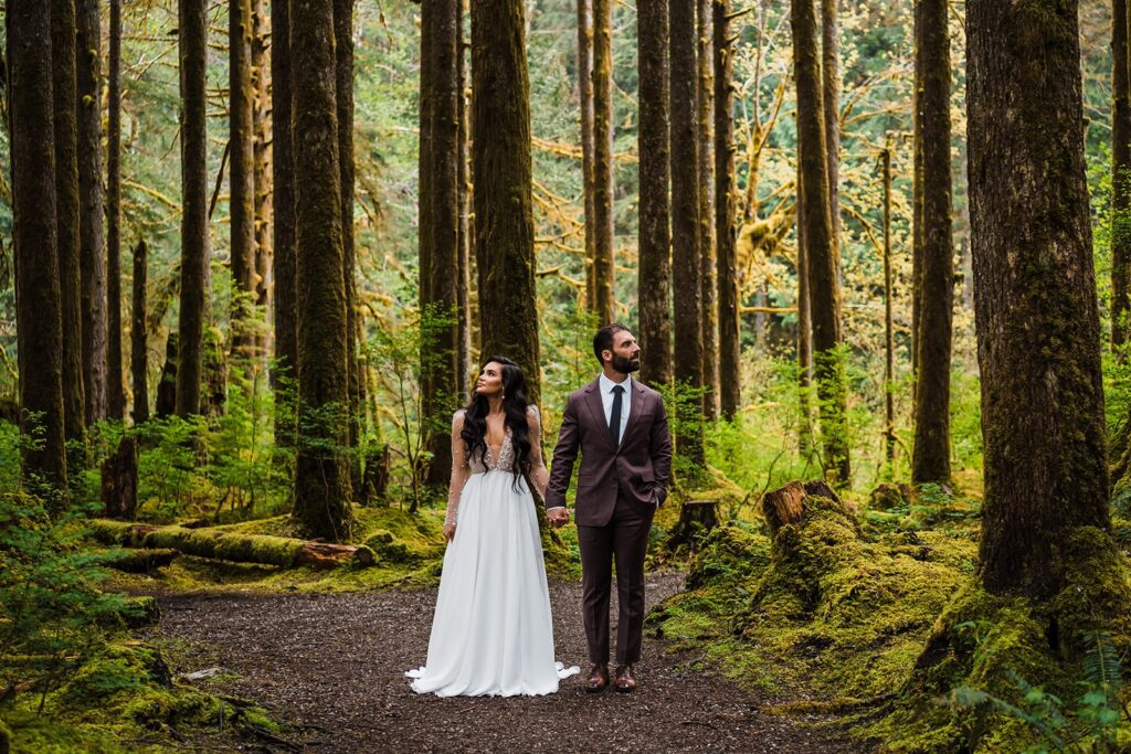 Bride and groom stand in an old-growth forest holding hands during their Snoqualmie elopement