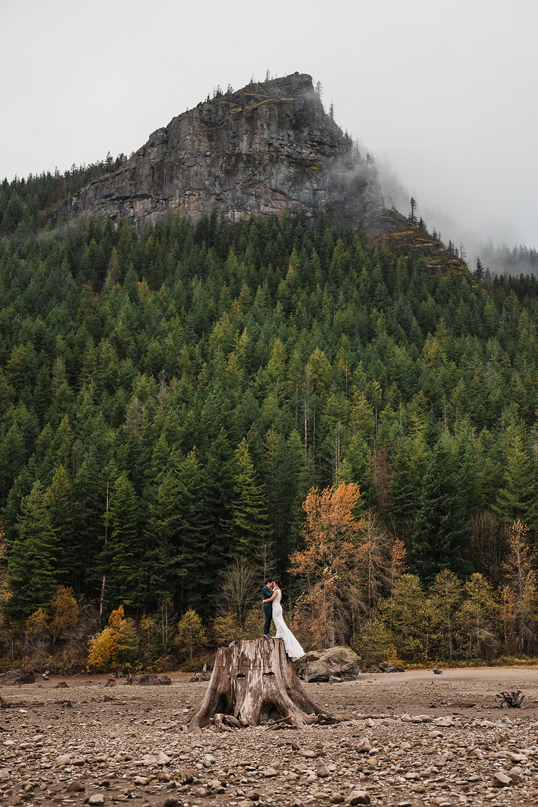 Bride and groom stand on top of a tree stump during their Snoqualmie elopement 